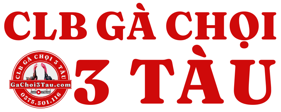 Gà Chọi 3 Tàu