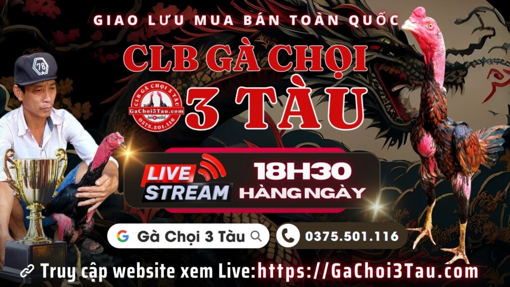 Video xổ gà ngày 20/8 – Gà Chọi 3 Tàu
