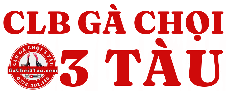 Gà Chọi 3 Tàu